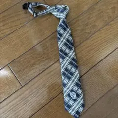 Item thumbnail for item 612052fd-6715-49b3-b7d5-2853b4f7cb47