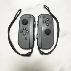 【動作品】Nintendo Switch Joy-Con ジョイコン、ストラップ