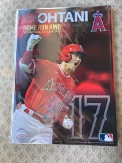 超レア】B5サイズ 大谷 翔平 選手 メジャー移籍の記者会見 記念品