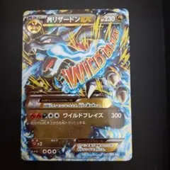 ワイルドブレイズ XY2 / ワイルドブレイズ