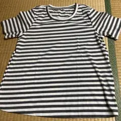 ストライプ 半袖Tシャツ ラウンドネック