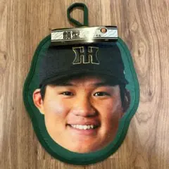 Item thumbnail for item 7e7549f7-29c7-46d5-9582-36d025f07cae