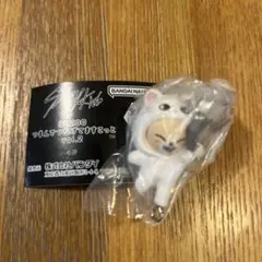 Item thumbnail for item f0384b49-d84d-4f2c-ae04-b875ef4c196b