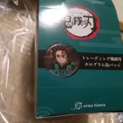 鬼滅の刃 トレーディング場面写ホログラム缶バッジ 14個 アルマビアンカ 無限城