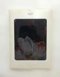 シルク　スカーフ