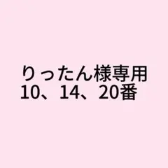 (即購入不可)りったん様専用ページ
