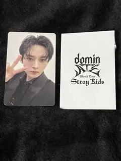 straykids domin ATE グッズ購入特典 リノ