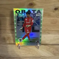 Item thumbnail for item 7f74ed13-c1de-4541-ae2c-7b7cdf1ee457