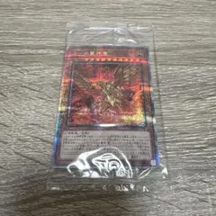 DM デュエルマスターズ DX ブロマイド ホイル 大昆虫ガイアマンティス