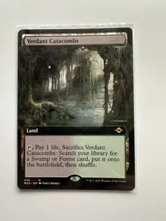 英語 旧枠《新緑の地下墓地/Verdant Catacombs》[MH2] - メルカリ