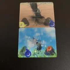 ムシキング トレーディングカード 2枚セット