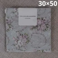 Item thumbnail for item a2764245-37ad-4b4d-b501-bb515661692c