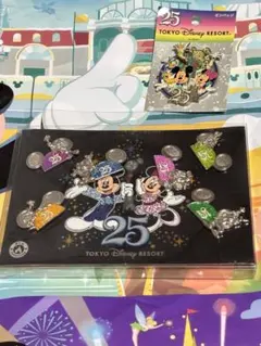 東京ディズニーリゾート 25周年記念　ピンバッジセット　ミッキー ミニー