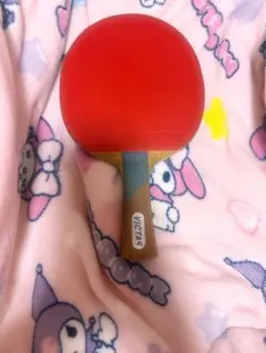 VICTAS 卓球ラケット