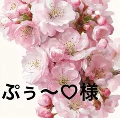 ぷぅ〜♡様　専用