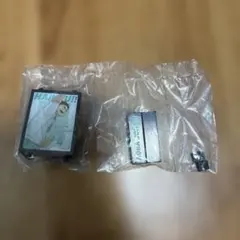 Item thumbnail for item cbf3d7c2-f5be-4d6d-b921-084d04ff4ebe