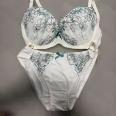 白鳩 wakudoki ブラジャー ショーツ セット F75のサムネイル