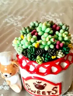 Item thumbnail for item 8adfc3d4-e79e-4e97-bb35-92448a0e9077