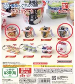 雪印メグミルク　ミニチュアチャーム〜ヨーグルト&デザートシリーズ〜