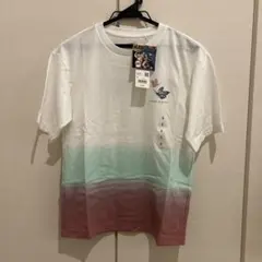 Item thumbnail for item b0bf06a9-f9e1-48ed-b39b-4f3665b13feb