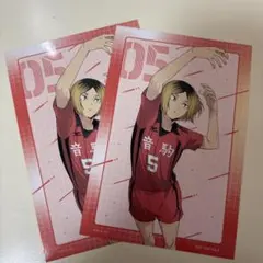 ハイキュー　アニメイト　特典　ポストカード　孤爪