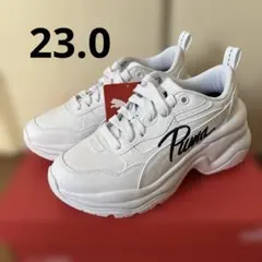 Item thumbnail for item ab013ebd-f21f-439e-878c-9e4f0ec41cf1