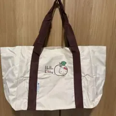 ハローキティー レジカゴバッグ　エコバッグ フコクしんらい生命　非売品　未使用