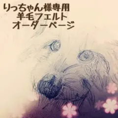 りっちゃん様専用 羊毛フェルトオーダーページ
