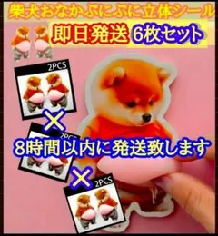 おなかぷにぷにシール　柴犬 6枚セット もっちもち立体シールスクイーズ 6個