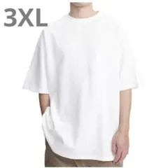 ✨️ビッグシルエット✨️ 綿100% 肉厚生地 大きめ 抗菌防臭 Tシャツ3XL