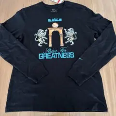 Lサイズ　ナイキ　レブロン　FQ4909　010　ロン　Ｔシャツ　メンズ