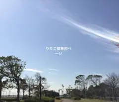 りりこ様専用ページ