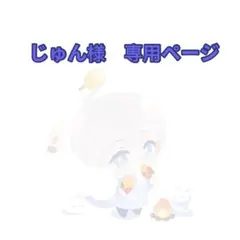じゅん様 専用ページ　4点