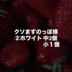 クソますのっぽ様専用ページ