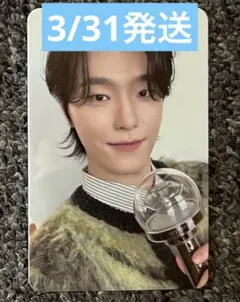 SEVENTEEN CARAT LAND 2025 トレカ　ディノ