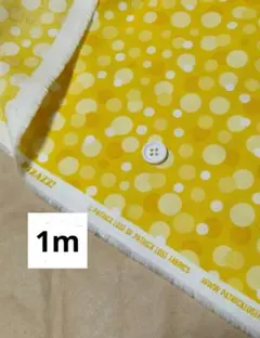 USAコットン　ドット　イエロー系　Northcott Fabrics　1m