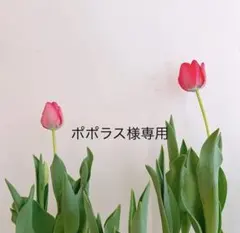 ポポラス様 リクエスト 2点 まとめ商品