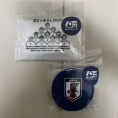 値下げ新品　3coins サッカー　日本代表　ステッカー　シール　スリーコインズのサムネイル
