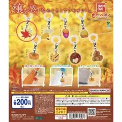 穣を感じるめじるしアクセサリー ガシャポン