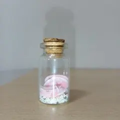 Item thumbnail for item b0d6d072-78da-45d3-8b0d-cebc22df7d6a