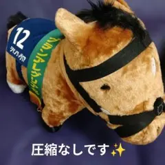 サラコレ　第36回マイルチャンピオンシップ グランアレグリア ぬいぐるみ