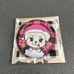 岩田剛典 ロッキー 缶バッジ