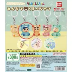 めじるしアクセサリー【かざまくん】