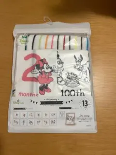 Disney ミッキー 月齢記録タオル 13枚セット