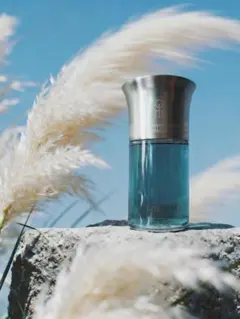 DOM ROSA 【10周年記念品】リキッドイマジネール50ml DOM ROSA 【10周年記念品】リキッドイマジネール50ml - メルカリ