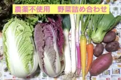 野菜セット　野菜詰め合わせ　80サイズ b