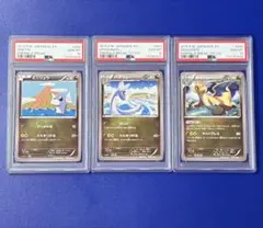 3連番　ミニリュウ　ハクリュー　カイリュー　xy6