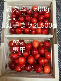 紅秀峰 紅手まり 2Lサイズ 各500g さくらんぼ - メルカリ