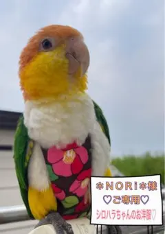 Item thumbnail for item 99375c75-30fc-4bb9-be68-e70cbae3a3e6