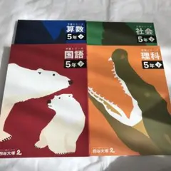 ★四谷大塚　予習シリーズ　5年下　4教科セット ★
